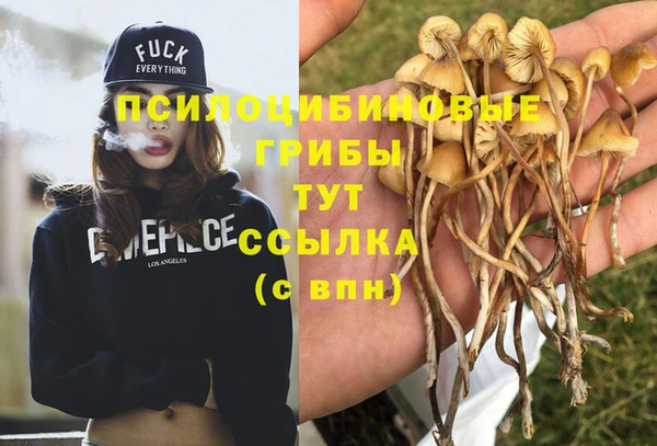 PSILOCYBIN Белокуриха